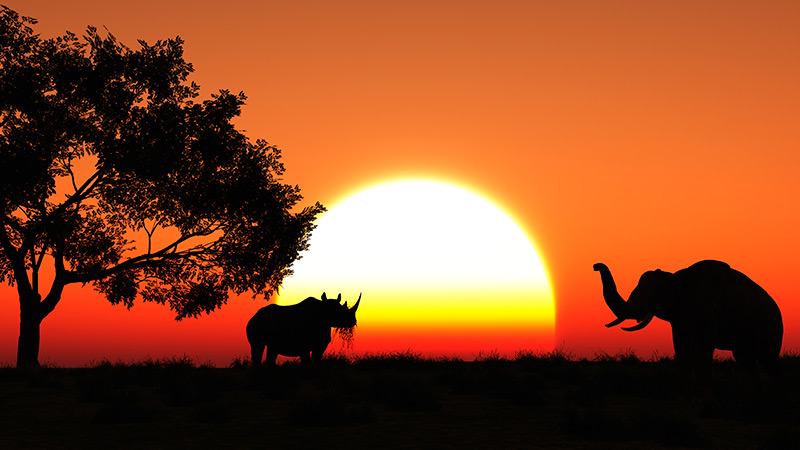 África