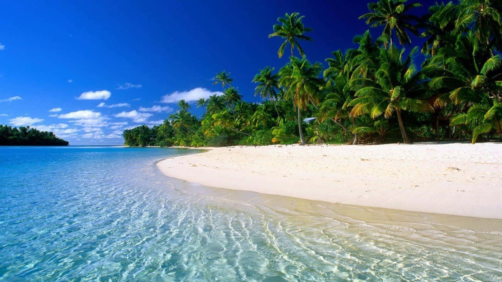 Caribe